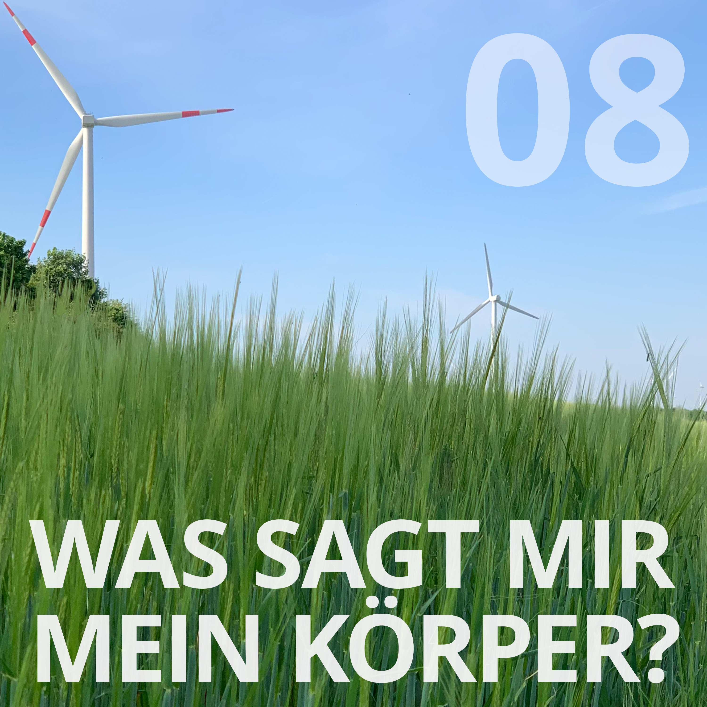 You are currently viewing #08 – Was sagt mir mein Körper?