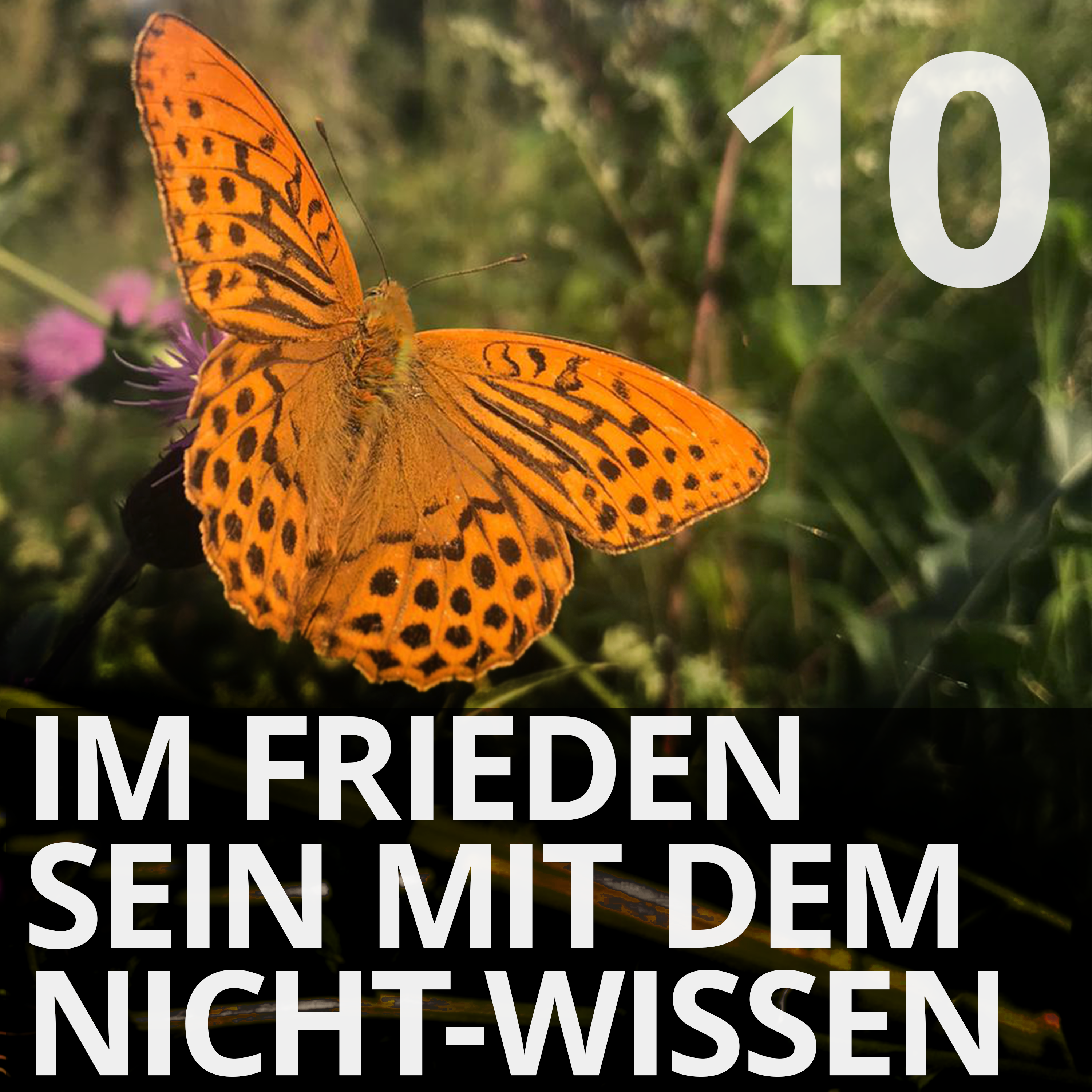 Read more about the article #10 – In Frieden sein mit dem Nicht-Wissen